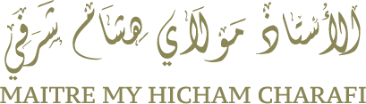 charafiavocatmarrakech.com